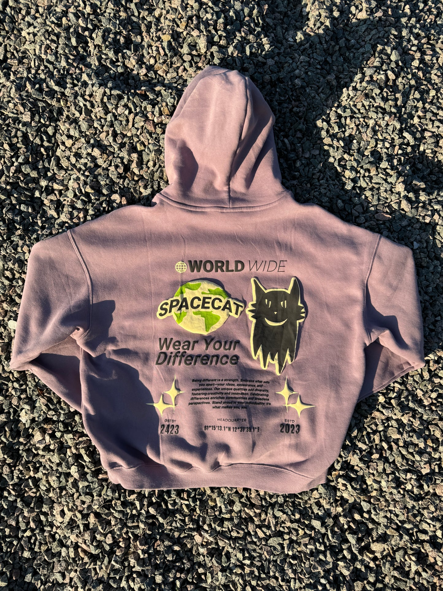 Spacecat WYD Hoodies