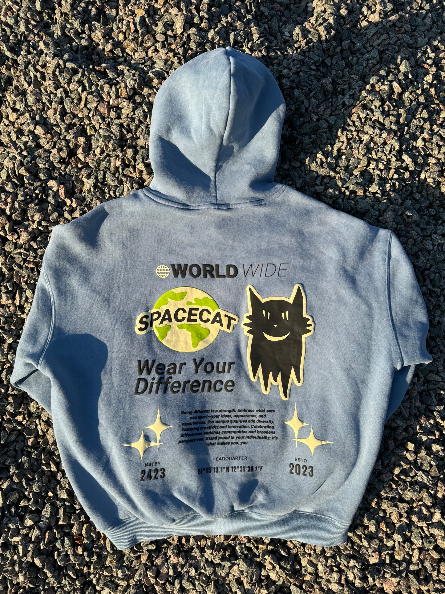 Spacecat WYD Hoodies